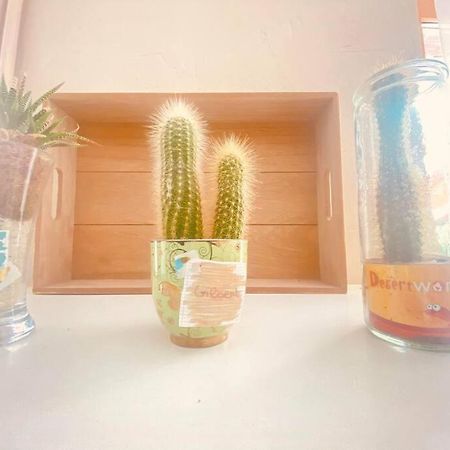 ランCocon Familialアパートメント エクステリア 写真